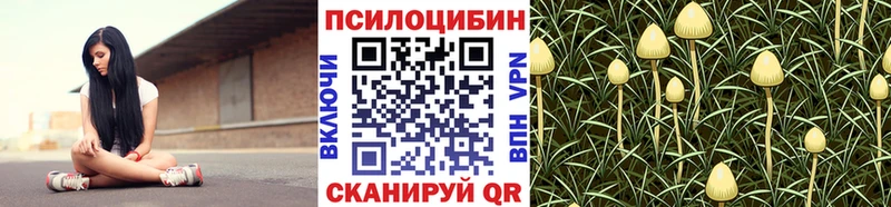 Псилоцибиновые грибы MAGIC MUSHROOMS  купить наркотик  Яровое 